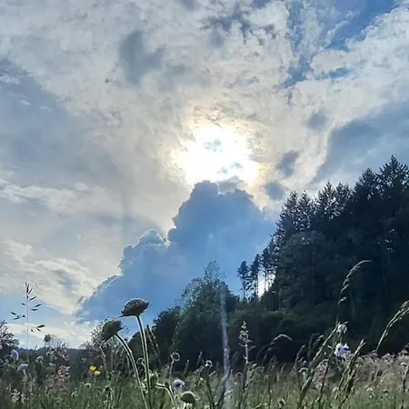 L'ecrin Du Sternsee