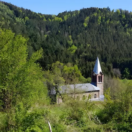 L'ecrin Du Sternsee * Rimbach-pres-Masevaux