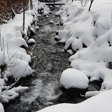 L'ecrin Du Sternsee Rimbach-pres-Masevaux