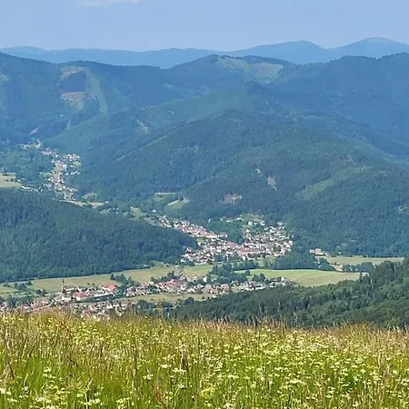 L'ecrin Du Sternsee Rimbach-pres-Masevaux